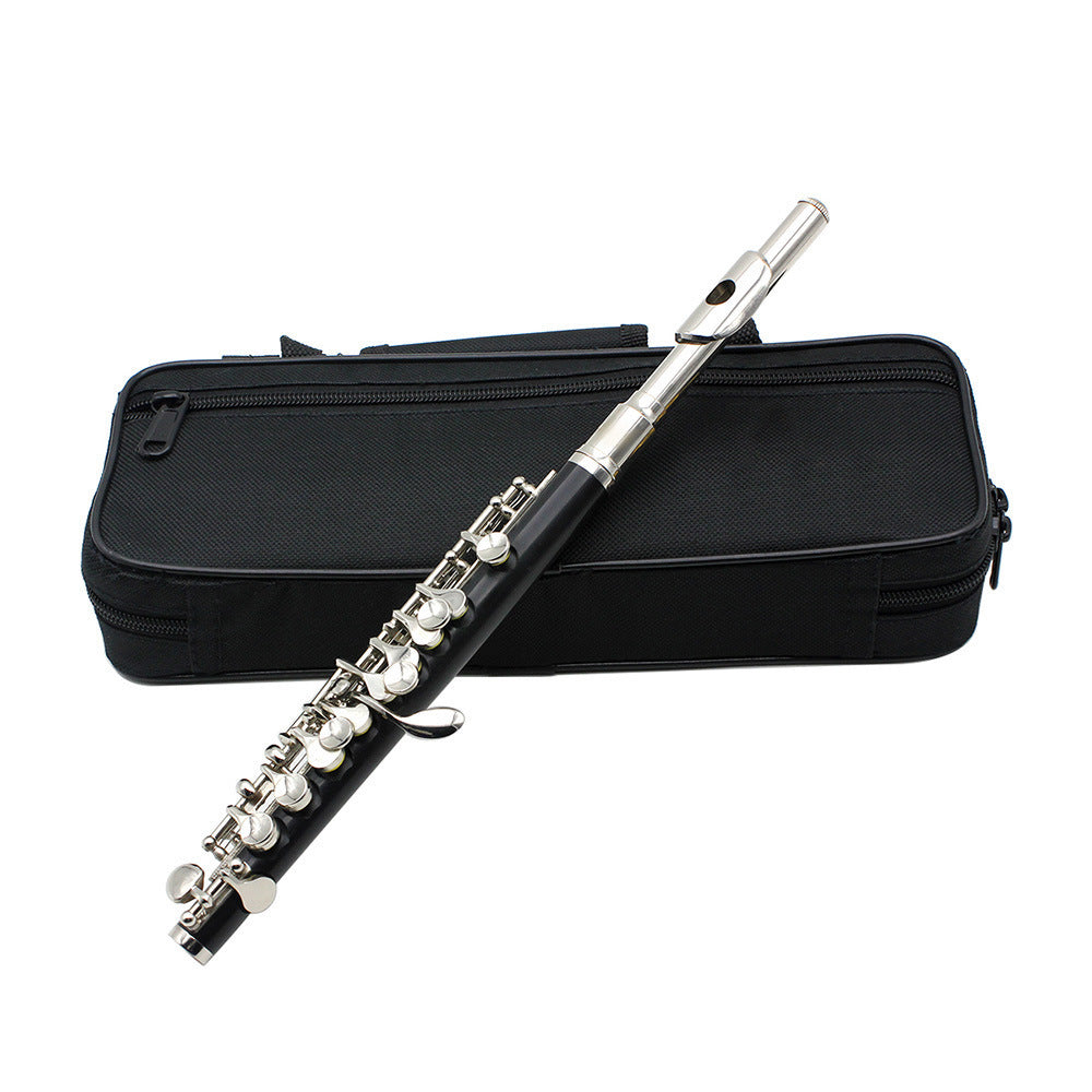 Beginner C Piccolo
