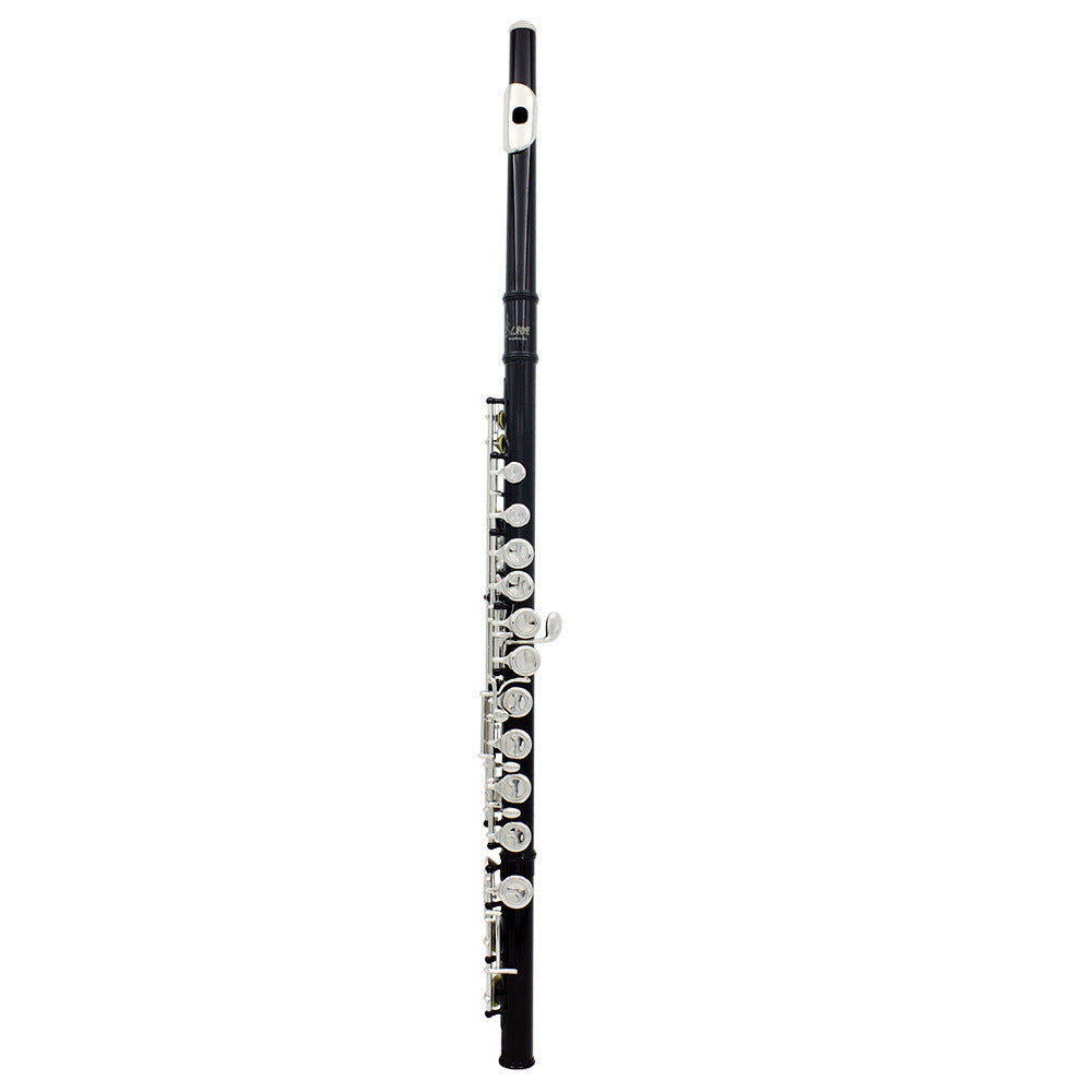Beginners Flute Key of C