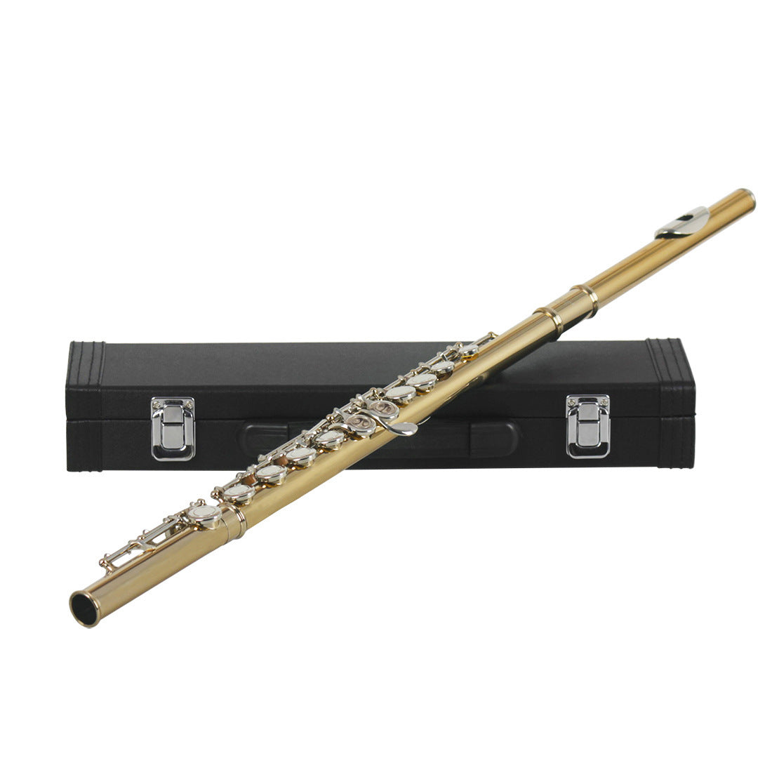 Beginners Flute Key of C