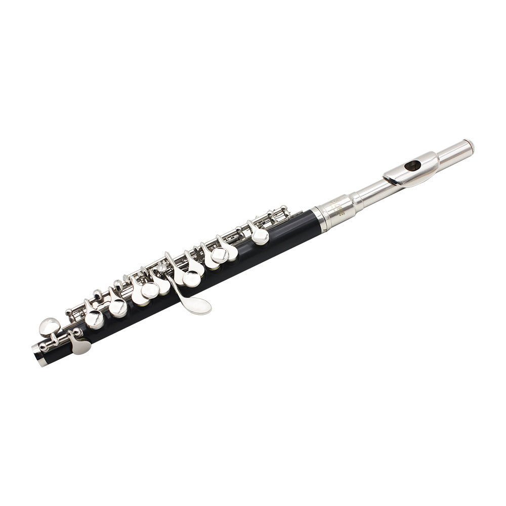Beginner C Piccolo