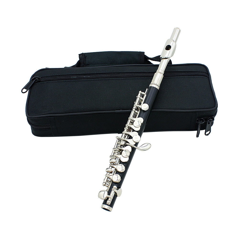 Beginner C Piccolo