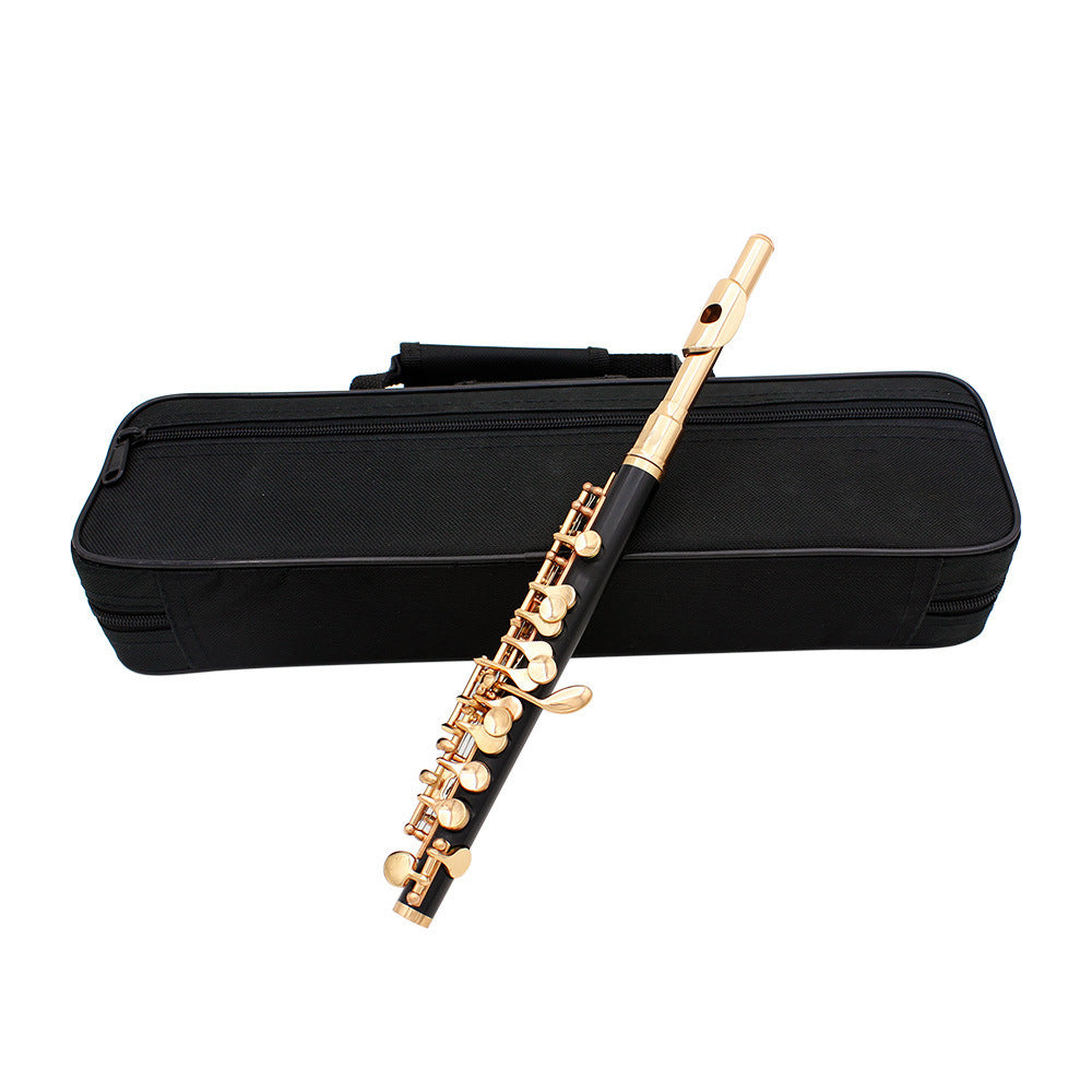 Beginner C Piccolo