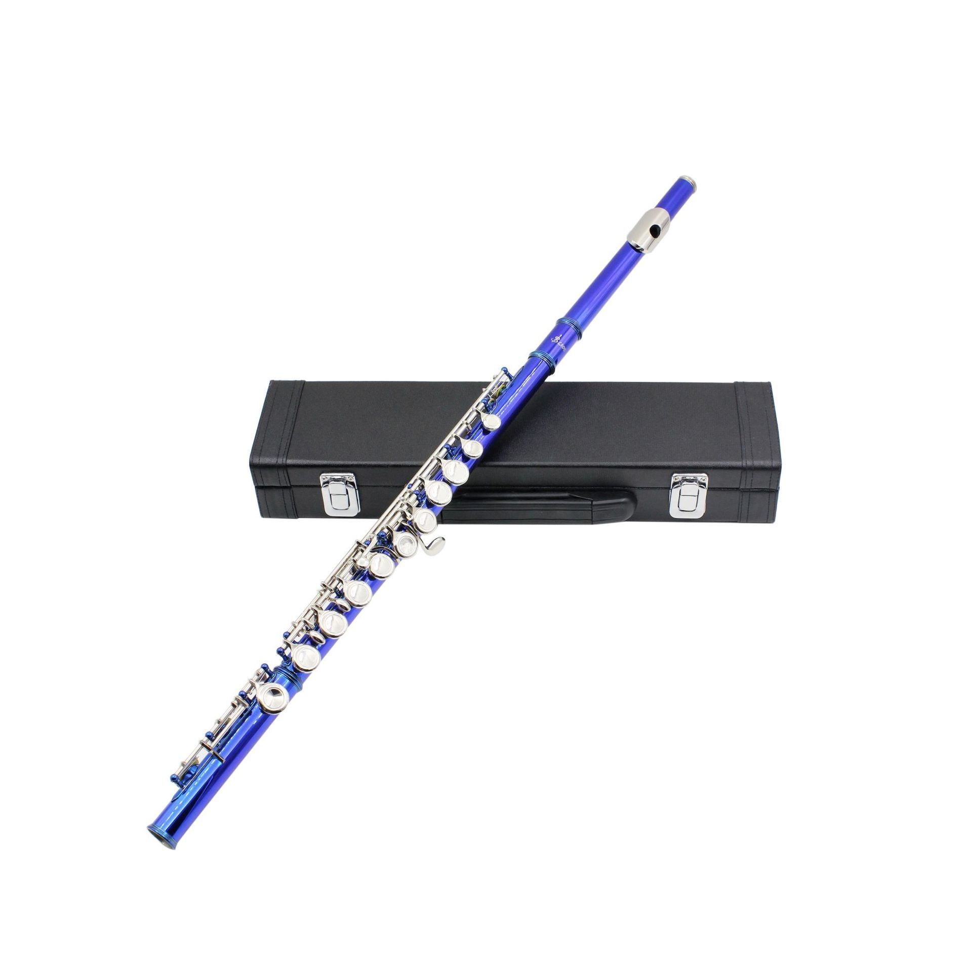 Beginners Flute Key of C