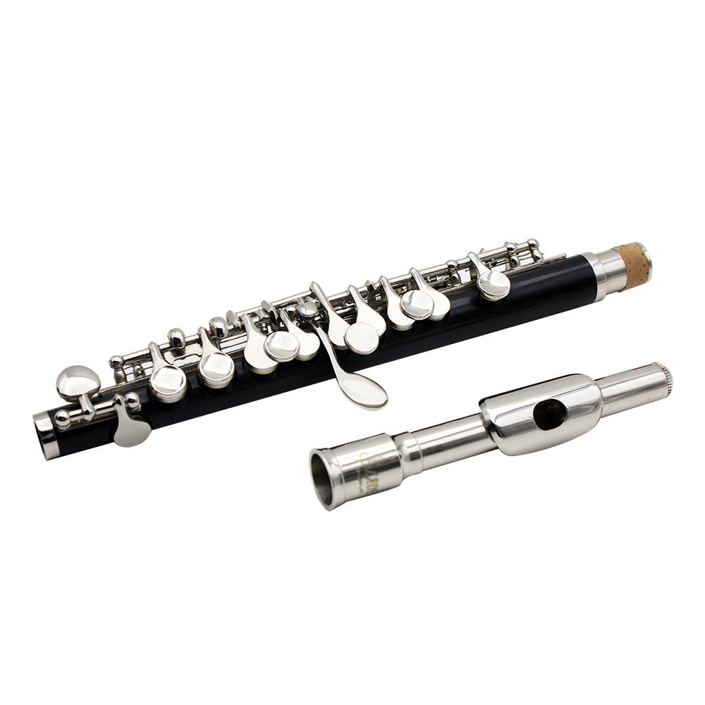 Beginner C Piccolo